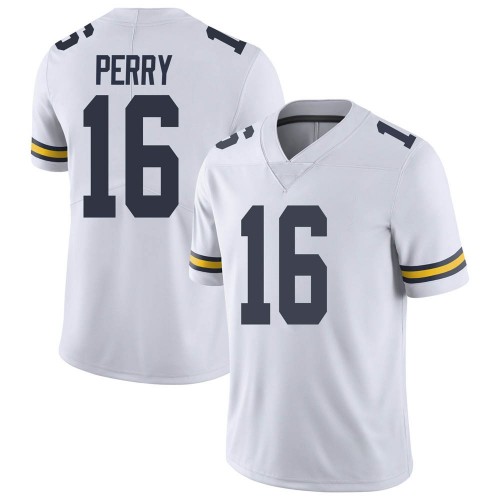 Jalen Perry Michigan Wolverines Youth NCAA #16 White Limited Brand Jordan College Stitched Football Jersey IEJ8054BL